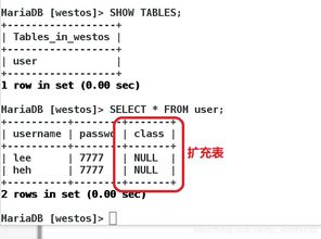 數(shù)據(jù)庫管理的精髓 從架構(gòu)到日常運(yùn)維的全面解析