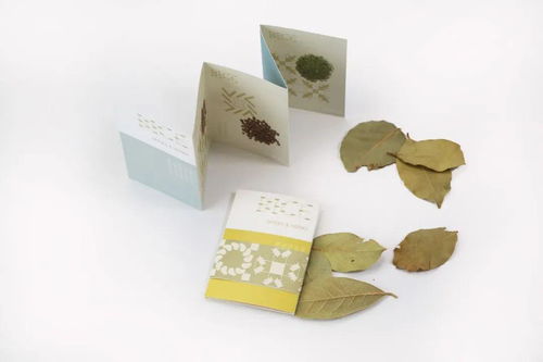 日用時尚產品包裝設計新趨勢 深圳彌高創意設計的文化藝術咨詢服務分享